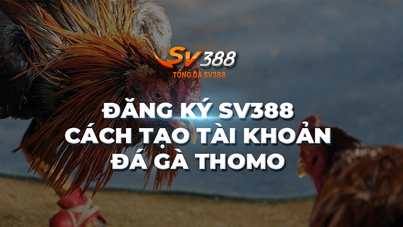 Đăng ký SV388 | Các bước tạo tài khoản đá gà Thomo