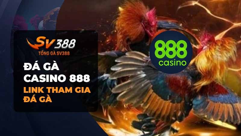 Đá gà Casino 888 | Link tham gia đá gà casino 888
